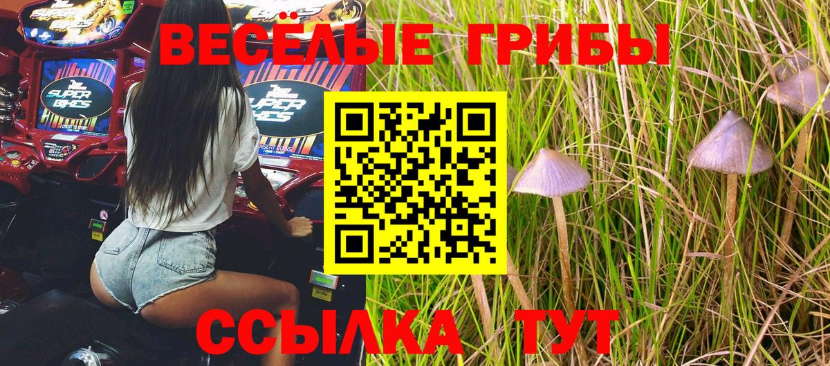 Псилоцибиновые грибы мухоморы  Вход с VPN  Красногорск 